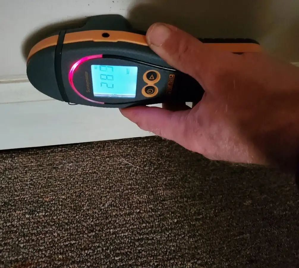 Moisture detection at baseboard during Sewage Cleanup & Sanitation in Nephi